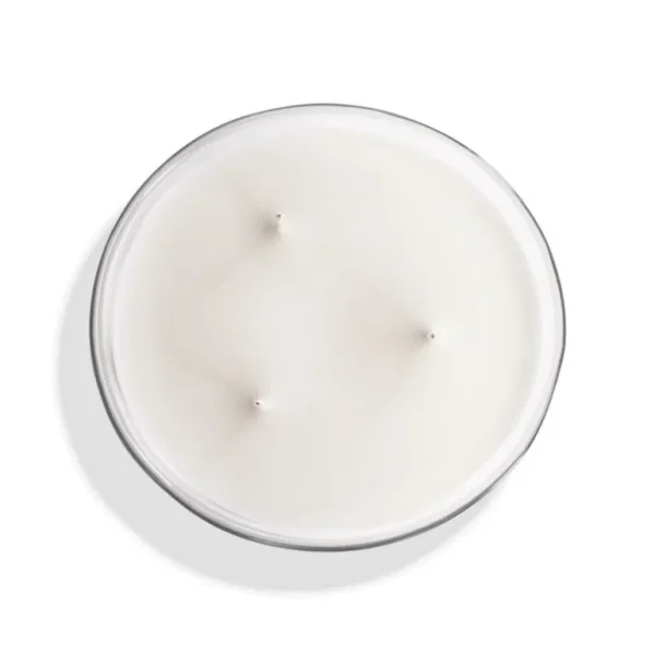 Feuille de Basilic  | Large scented candle^Mizensir Parfums Hot