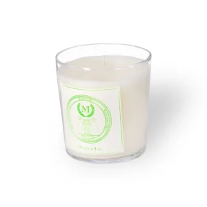 Menthe à l'Eau | Scented candle^Mizensir Parfums Discount